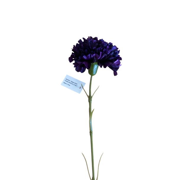 Nellike lilla H 50 cm