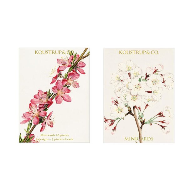 Minikort forr - Blossom