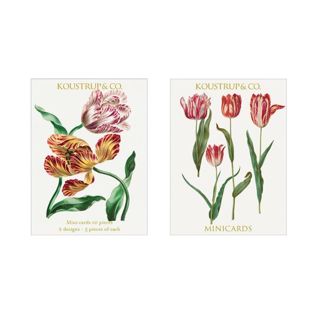Minikort forr - tulipan