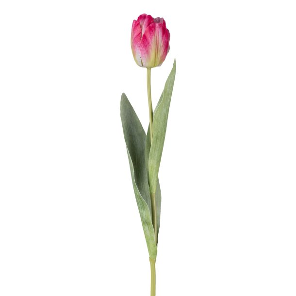 Tulipan mrk rosa - H 46 cm